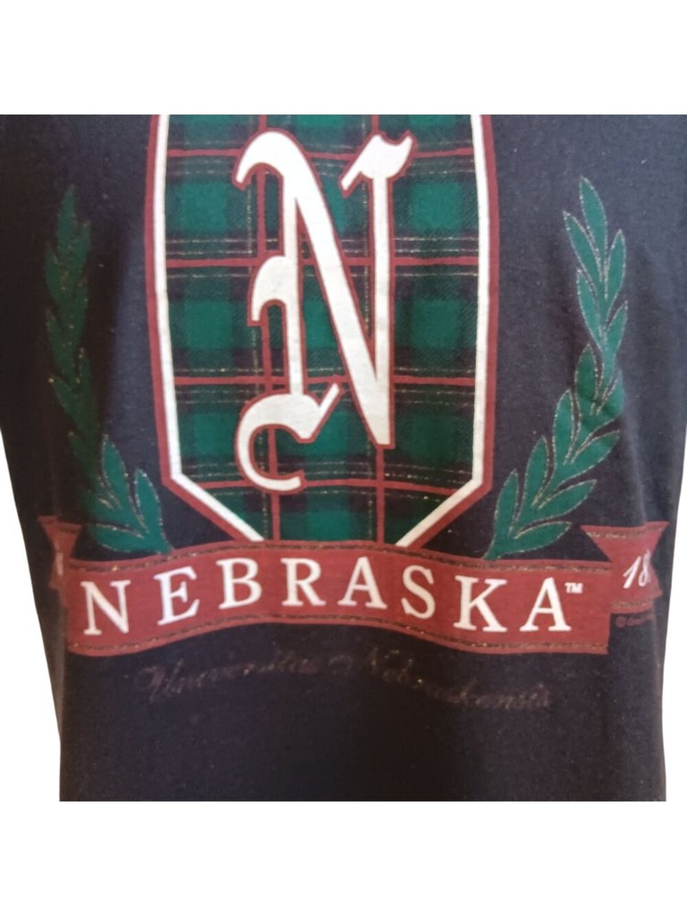 Large Men' Single Stitch T-shirt Vintage Nebraska Screen Stars 1980's University